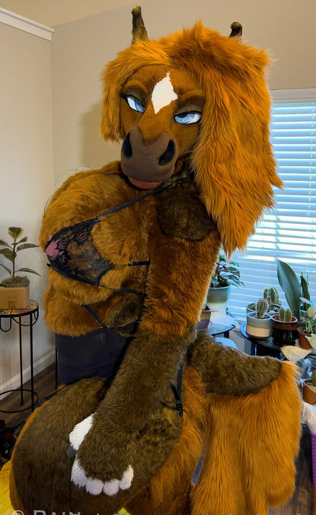 wife pussy onlyfans porno archive