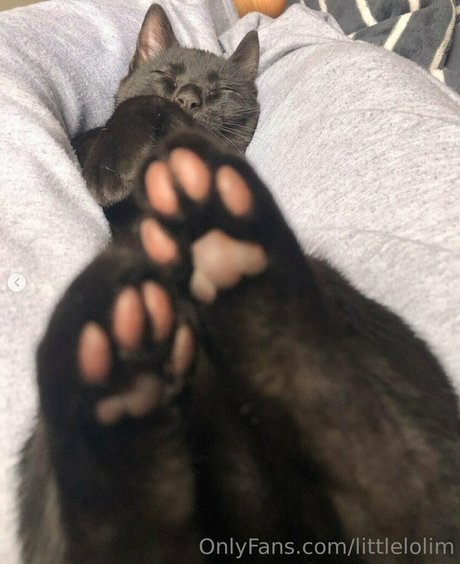 babe nude onlyfans nude gallery