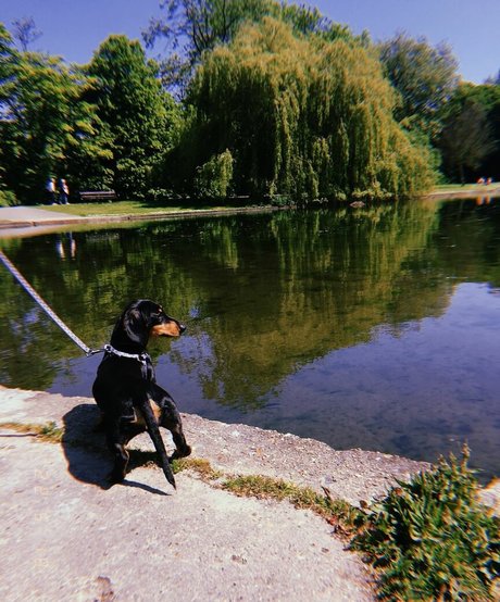 joi onlyfans hot porn galleries