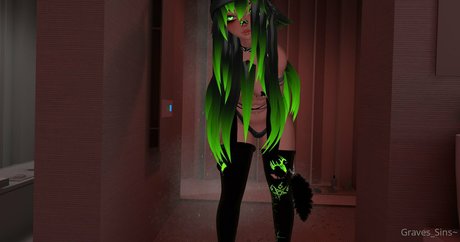 gravessins nice star galleries