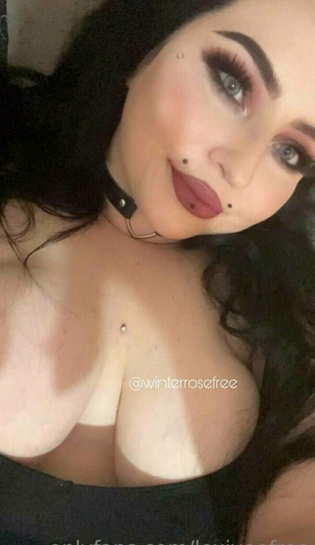 lexiveefree top star gallery