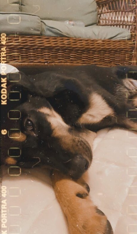 Leah Booth best pornstar images