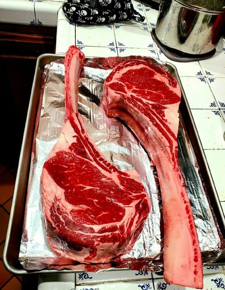 chaoticapathy sex star archive