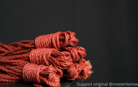 shemale ass onlyfans perfect pictures