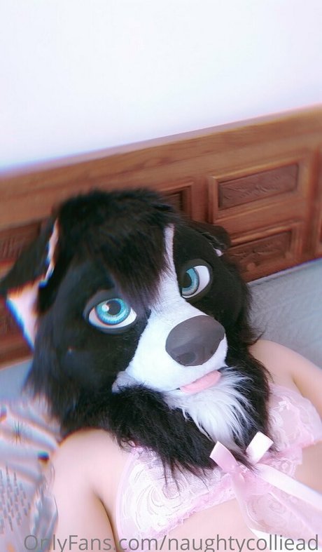 naughtycolliead pornstar image