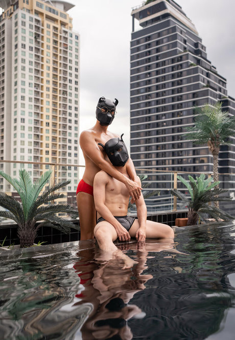 th cellox pornstar gallery