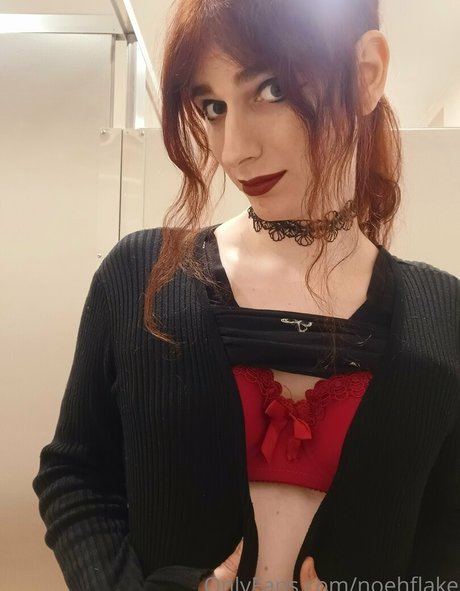 noehflake pornographic model gallery