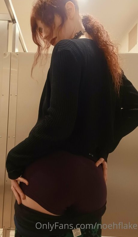 noehflake pornographic star photos