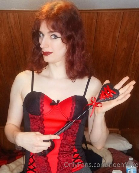 noehflake star perfect images