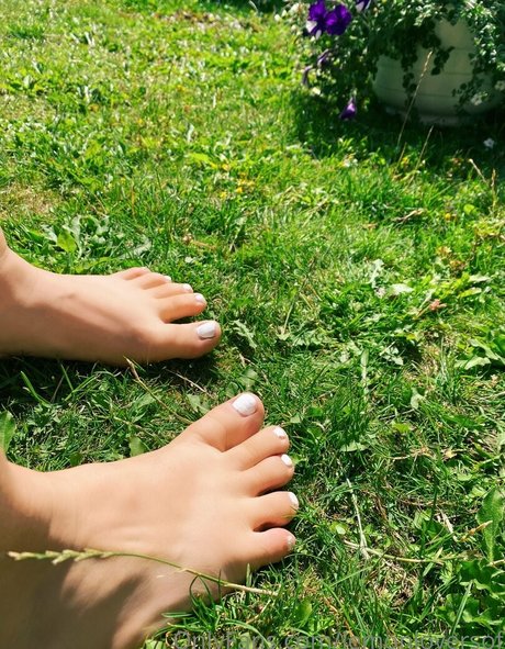 lemonloversof hot star archive