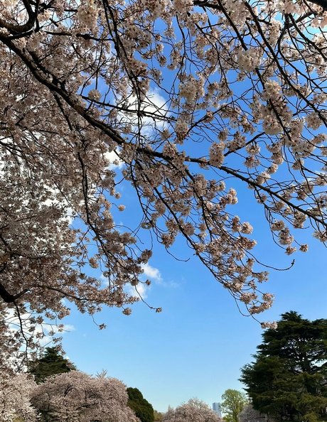 curvy kitty onlyfans sexy nudes archive