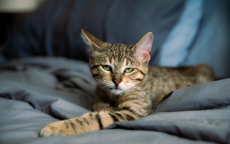 babe nude onlyfans hot nude gallery