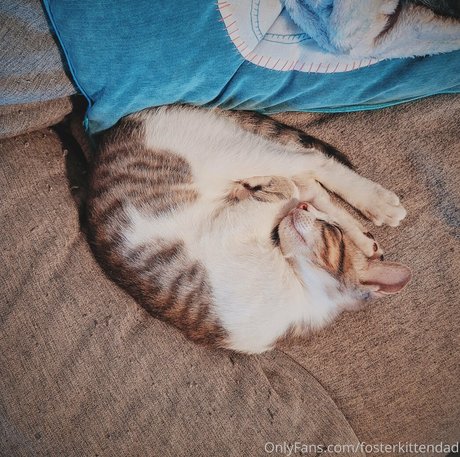 girl onlyfans adult img