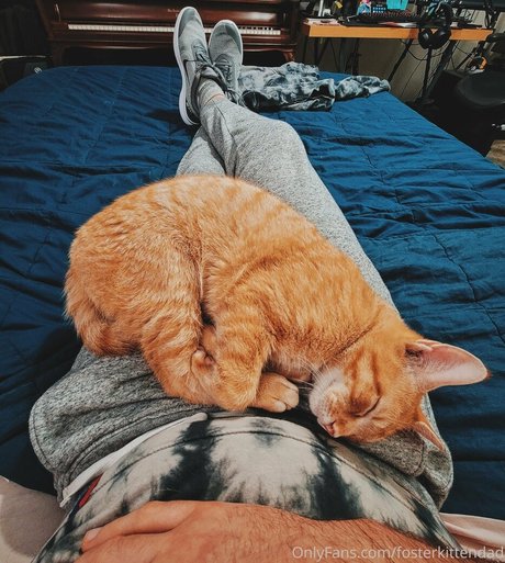 fosterkittendad porn actress pic