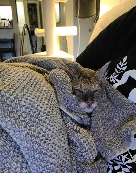 bikini ginger onlyfans art xxx photo