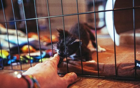 joi onlyfans free porn archive