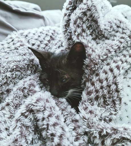 couple onlyfans hot nude image