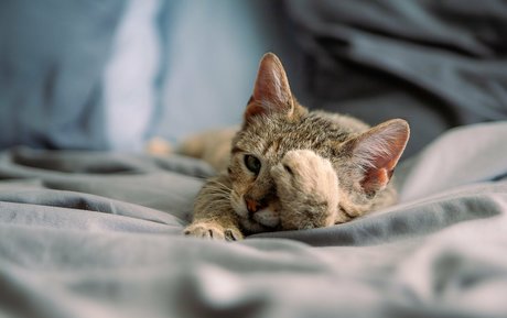 athletic milf onlyfans erotic galleries