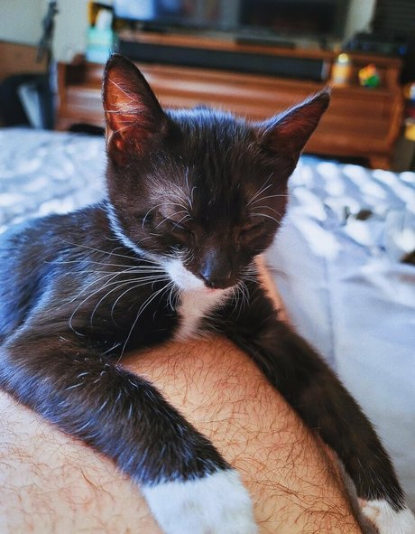 asmr male onlyfans porno image