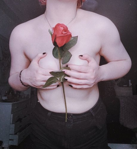 baibeloved star pretty photos