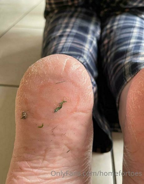 homefortoes pornstar adult archive