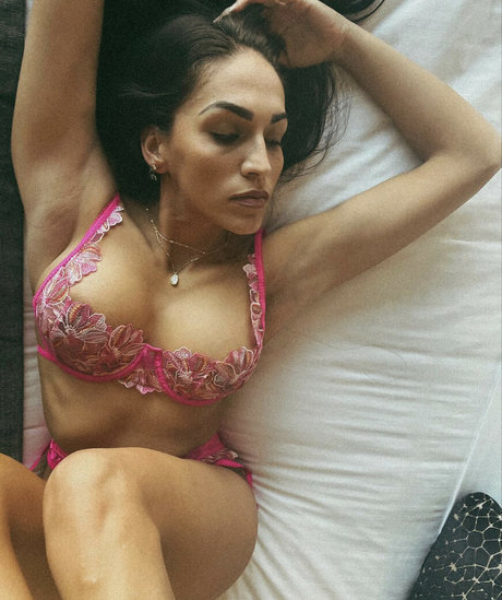 _lilly dd_ star adult picture