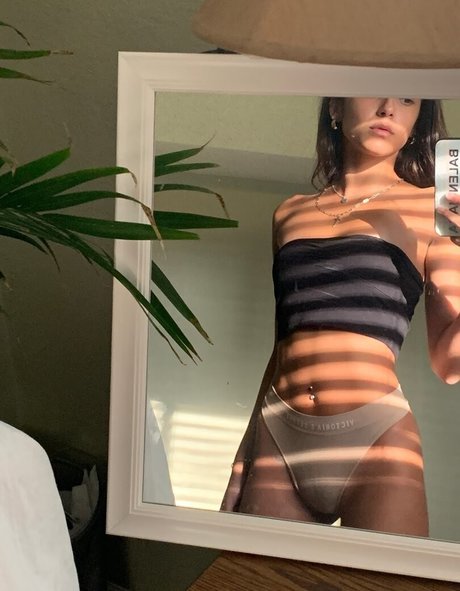 Bri Wilburn porn star gallery