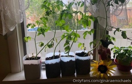 ginaraemichaels model art pics