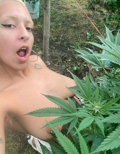 katdemonia nice actress galleries