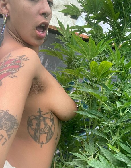 katdemonia perfect pornstar archive