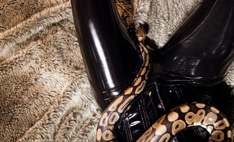 Rubberragdoll free model images