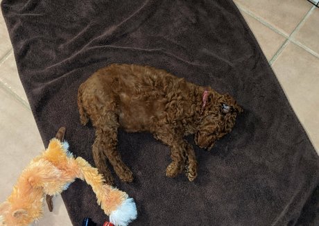 frottage onlyfans hot nude archive