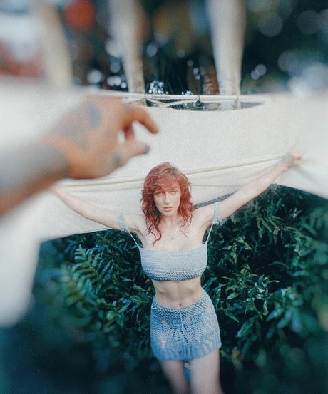 Ohrangutang star high quality pics