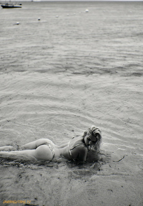 Ohrangutang pornstar hd picture