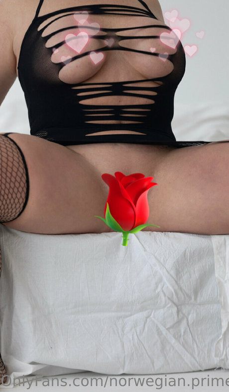 norwegian prime high quality model archive