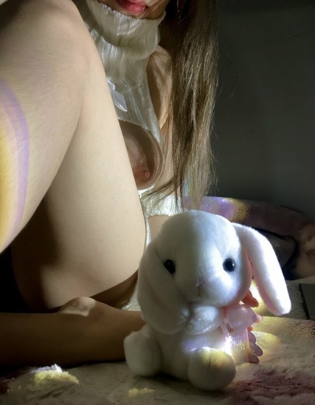 shiroissad model top pic