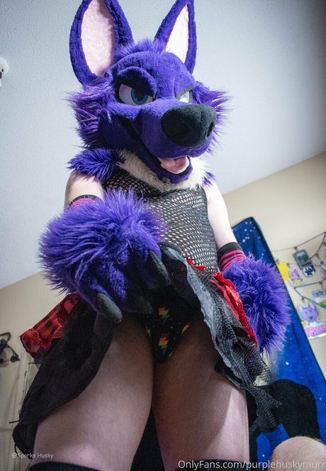 purplehuskymurr model free img