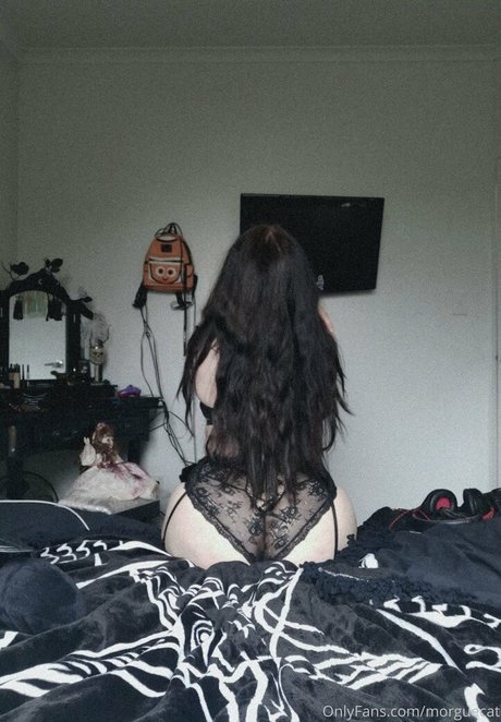 morguecat star perfect pic