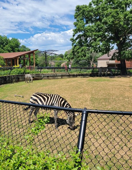 peachyqueen45 model xxx image