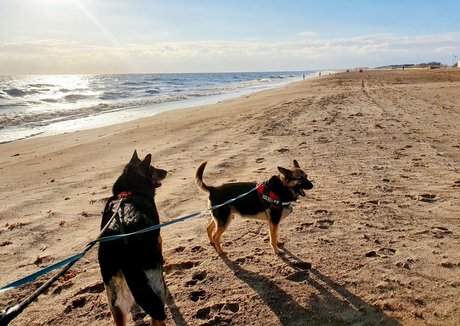 german amateur onlyfans free xxx photo