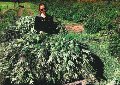 danceincannabis nice pornstar photo