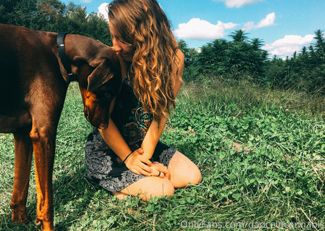 danceincannabis perfect pornstar pictures