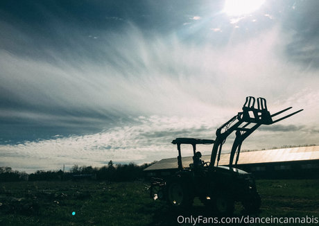 danceincannabis naked actress image