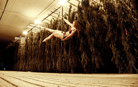 danceincannabis model porn archive