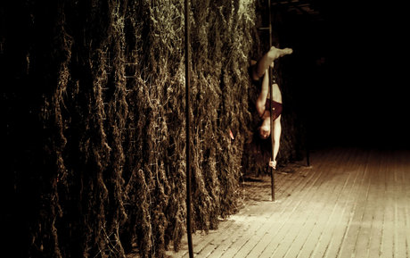 danceincannabis pornstar hot pictures