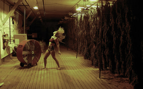 danceincannabis hot model img