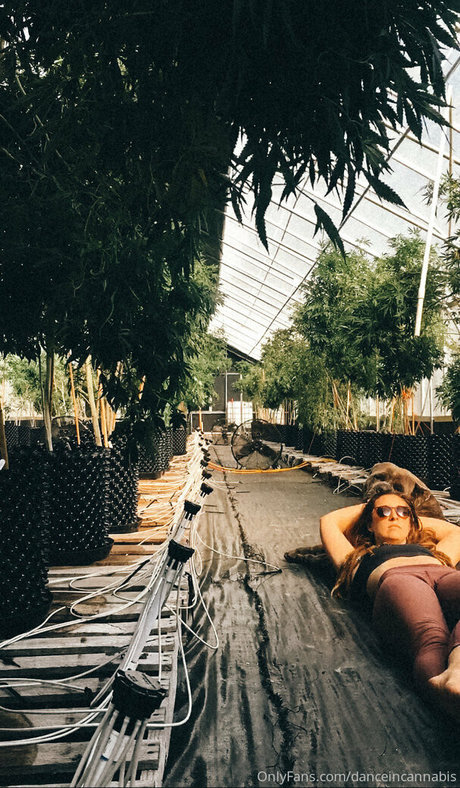 danceincannabis porn model photos