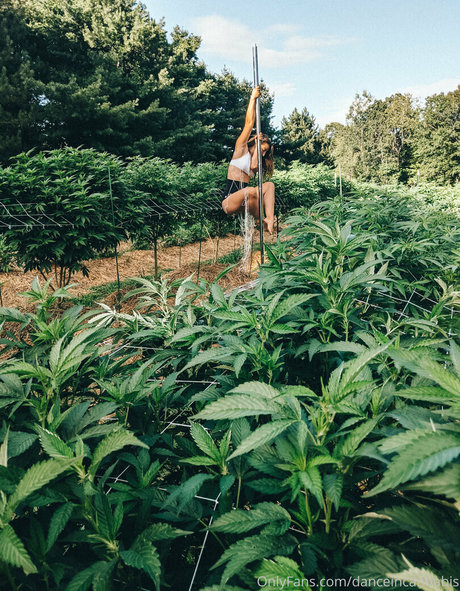 danceincannabis model pretty pics