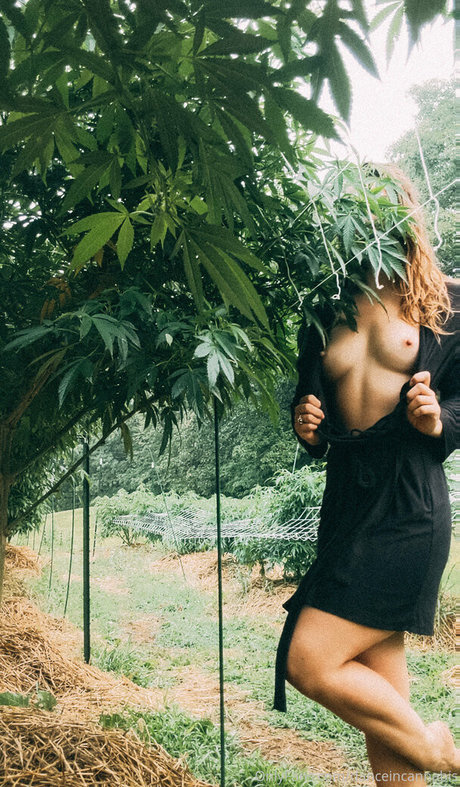 seduction onlyfans sex archive