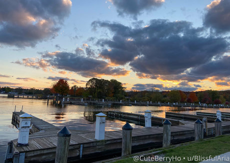 hiblissfularia star erotic img